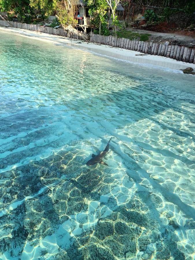 Warahnus Dive Homestay Kri Esterno foto